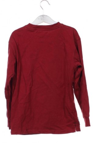 Dziecięca bluzka Zara, Rozmiar 7-8y/ 128-134 cm, Kolor Kolorowy, Cena 32,32 zł