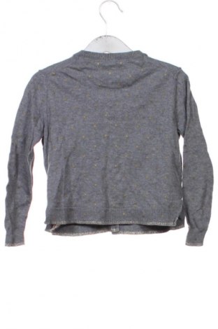 Παιδική ζακέτα Massimo Dutti, Μέγεθος 3-4y/ 104-110 εκ., Χρώμα Πολύχρωμο, Τιμή 18,99 €