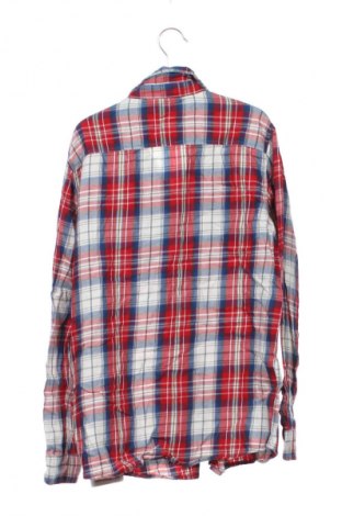 Dziecięca koszula Alive, Rozmiar 10-11y/ 146-152 cm, Kolor Kolorowy, Cena 10,99 zł