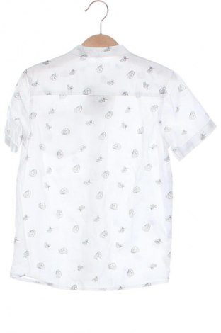 Dziecięca koszula Sinsay, Rozmiar 5-6y/ 116-122 cm, Kolor Kolorowy, Cena 17,99 zł