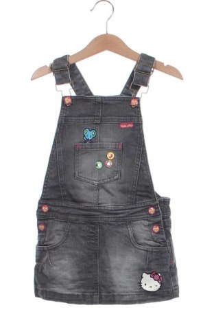Dziecięca sukienka Hello Kitty, Rozmiar 4-5y/ 110-116 cm, Kolor Szary, Cena 40,99 zł