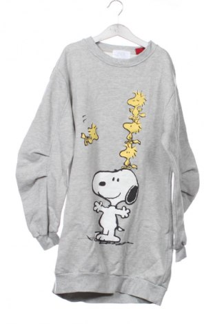 Kinderkleid Zara, Größe 13-14y/ 164-168 cm, Farbe Grau, Preis 4,99 €