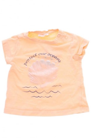 Detské tričko Coccodrillo, Veľkosť 6-9m/ 68-74 cm, Farba Oranžová, Cena  4,95 €