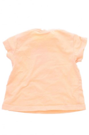 Detské tričko Coccodrillo, Veľkosť 6-9m/ 68-74 cm, Farba Oranžová, Cena  4,95 €