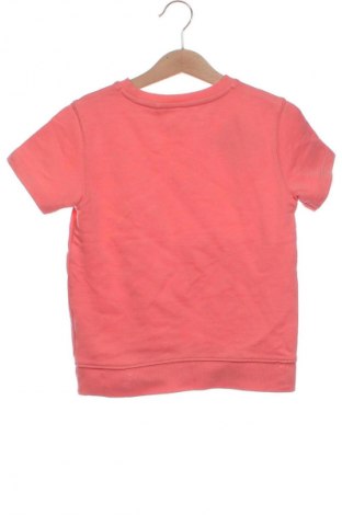 Dziecięcy T-shirt Next, Rozmiar 4-5y/ 110-116 cm, Kolor Pomarańczowy, Cena 31,99 zł