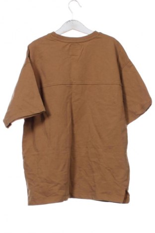 Dziecięcy T-shirt Zara, Rozmiar 10-11y/ 146-152 cm, Kolor Brązowy, Cena 29,99 zł