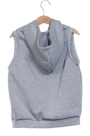 Gyerek mellény Unbranded, Méret 7-8y / 128-134 cm, Szín Szürke, Ár 2 949 Ft