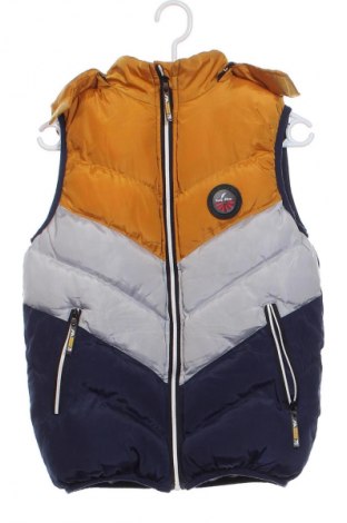 Gyerek mellény Unbranded, Méret 13-14y / 164-168 cm, Szín Sokszínű, Ár 2 889 Ft