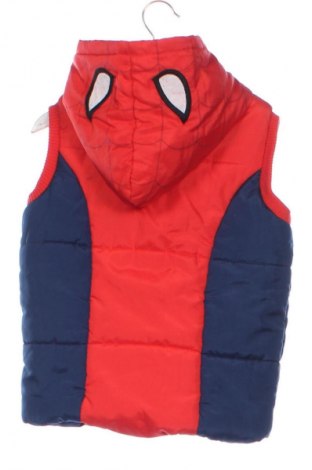 Gyerek mellény Unbranded, Méret 6-7y / 122-128 cm, Szín Sokszínű, Ár 4 299 Ft