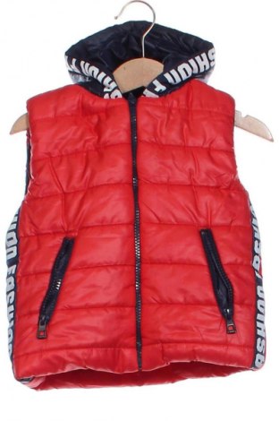 Dziecięca kamizelka Unbranded, Rozmiar 18-24m/ 86-98 cm, Kolor Kolorowy, Cena 37,99 zł