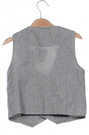 Dziecięca kamizelka Unbranded, Rozmiar 5-6y/ 116-122 cm, Kolor Kolorowy, Cena 39,99 zł