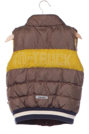 Dětská vesta  Zebralino, Velikost 2-3y/ 98-104 cm, Barva Vícebarevné, Cena  169,00 Kč