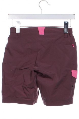 Dětské krátké kalhoty  CMP, Velikost 11-12y/ 152-158 cm, Barva Hnědá, Cena  159,00 Kč