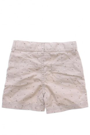 Dziecięce szorty Coolclub, Rozmiar 2-3m/ 56-62 cm, Kolor Kolorowy, Cena 32,00 zł