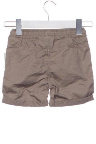 Dziecięce szorty Dopo Dopo, Rozmiar 2-3y/ 98-104 cm, Kolor Brązowy, Cena 32,99 zł