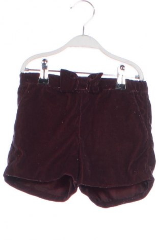 Dětské krátké kalhoty  H&M, Velikost 5-6y/ 116-122 cm, Barva Fialová, Cena  139,00 Kč