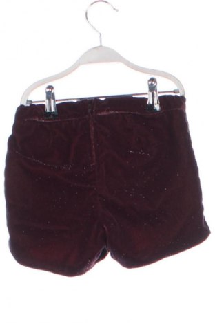 Dětské krátké kalhoty  H&M, Velikost 5-6y/ 116-122 cm, Barva Fialová, Cena  139,00 Kč