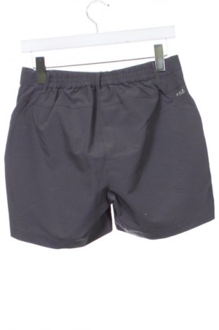 Dziecięce szorty Icepeak, Rozmiar 15-18y/ 170-176 cm, Kolor Szary, Cena 104,99 zł