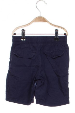 Dziecięce szorty Lupilu, Rozmiar 4-5y/ 110-116 cm, Kolor Niebieski, Cena 24,99 zł
