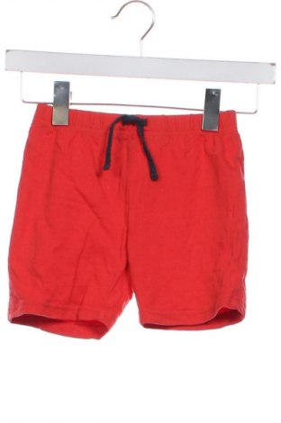 Dziecięce szorty Lupilu, Rozmiar 4-5y/ 110-116 cm, Kolor Czerwony, Cena 24,99 zł