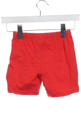 Dziecięce szorty Lupilu, Rozmiar 4-5y/ 110-116 cm, Kolor Czerwony, Cena 24,99 zł