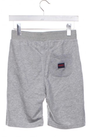 Dziecięce szorty Redskins, Rozmiar 14-15y/ 168-170 cm, Kolor Szary, Cena 166,99 zł