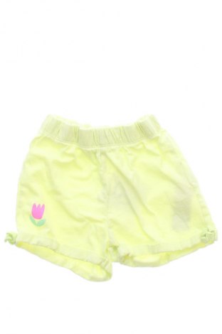 Dziecięce szorty Pepco, Rozmiar 12-18m/ 80-86 cm, Kolor Zielony, Cena 32,18 zł