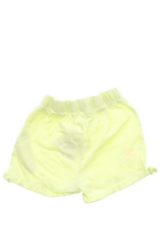 Dziecięce szorty Pepco, Rozmiar 12-18m/ 80-86 cm, Kolor Zielony, Cena 32,18 zł