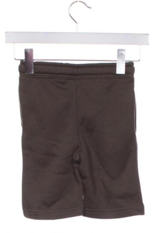 Dziecięce szorty Unbranded, Rozmiar 5-6y/ 116-122 cm, Kolor Zielony, Cena 61,99 zł