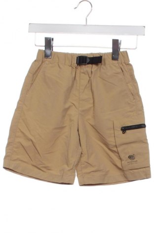 Dziecięce szorty Zara, Rozmiar 7-8y/ 128-134 cm, Kolor Brązowy, Cena 43,37 zł