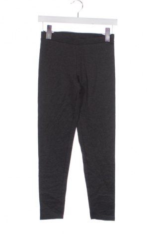 Παιδικό κολάν Alive, Μέγεθος 11-12y/ 152-158 εκ., Χρώμα Γκρί, Τιμή 9,99 €