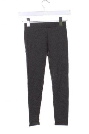 Dziecięce legginsy Alive, Rozmiar 7-8y/ 128-134 cm, Kolor Szary, Cena 27,99 zł