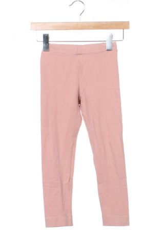 Παιδικό κολάν H&M, Μέγεθος 5-6y/ 116-122 εκ., Χρώμα Σάπιο μήλο, Τιμή 7,99 €