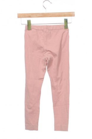 Παιδικό κολάν H&M, Μέγεθος 5-6y/ 116-122 εκ., Χρώμα Σάπιο μήλο, Τιμή 7,99 €