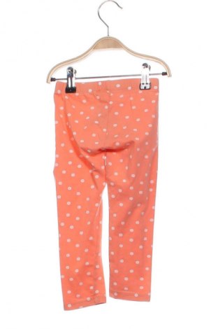 Παιδικό κολάν Name It, Μέγεθος 2-3y/ 98-104 εκ., Χρώμα Πολύχρωμο, Τιμή 5,99 €