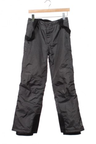 Παιδικό παντελόνι για χειμερινά σπορ Crivit, Μέγεθος 10-11y/ 146-152 εκ., Χρώμα Καφέ, Τιμή 20,99 €