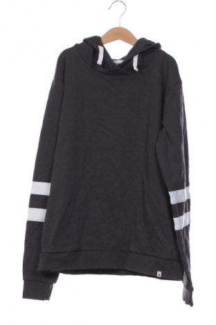 Детски суитшърт Fit-Z, Размер 14-15y/ 168-170 см, Цвят Сив, Цена 12,99 лв.