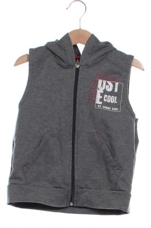 Παιδικό φούτερ Unbranded, Μέγεθος 3-4y/ 104-110 εκ., Χρώμα Γκρί, Τιμή 7,99 €