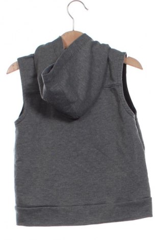 Παιδικό φούτερ Unbranded, Μέγεθος 3-4y/ 104-110 εκ., Χρώμα Γκρί, Τιμή 7,99 €