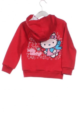 Παιδικό φούτερ Unbranded, Μέγεθος 2-3y/ 98-104 εκ., Χρώμα Κόκκινο, Τιμή 12,99 €