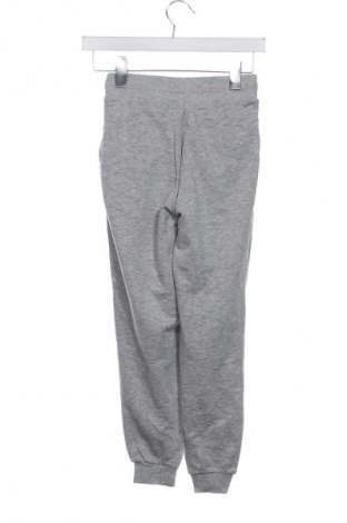 Παιδική κάτω φόρμα Harry Potter, Μέγεθος 8-9y/ 134-140 εκ., Χρώμα Γκρί, Τιμή 8,99 €