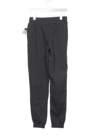 Dětské tepláky Primark, Velikost 14-15y/ 168-170 cm, Barva Šedá, Cena  409,00 Kč