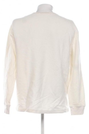 Herren Shirt Calvin Klein Jeans, Größe L, Farbe Ecru, Preis 36,99 €