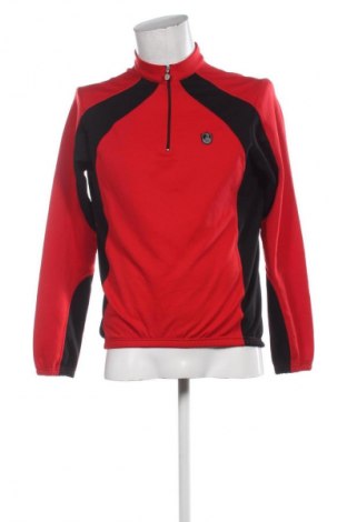 Herren Shirt Campagnolo, Größe L, Farbe Mehrfarbig, Preis 24,99 €