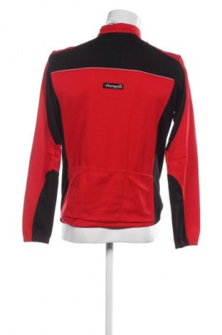 Herren Shirt Campagnolo, Größe L, Farbe Mehrfarbig, Preis 24,99 €