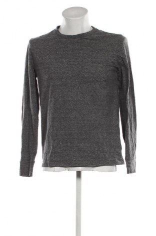 Herren Shirt Gap, Größe M, Farbe Grau, Preis € 9,99