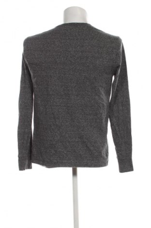 Herren Shirt Gap, Größe M, Farbe Grau, Preis € 9,99