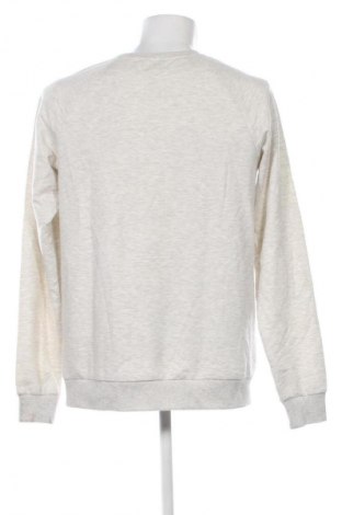 Ανδρική μπλούζα Icepeak, Μέγεθος L, Χρώμα Πολύχρωμο, Τιμή 7,99 €