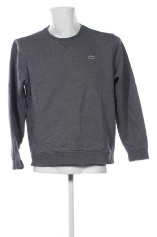 Herren Shirt Lacoste, Größe L, Farbe Grau, Preis € 52,99