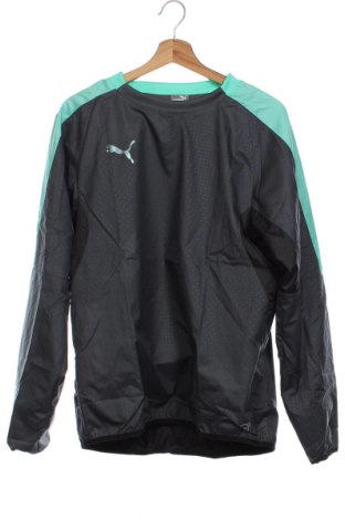 Herren Shirt PUMA, Größe M, Farbe Mehrfarbig, Preis € 50,99